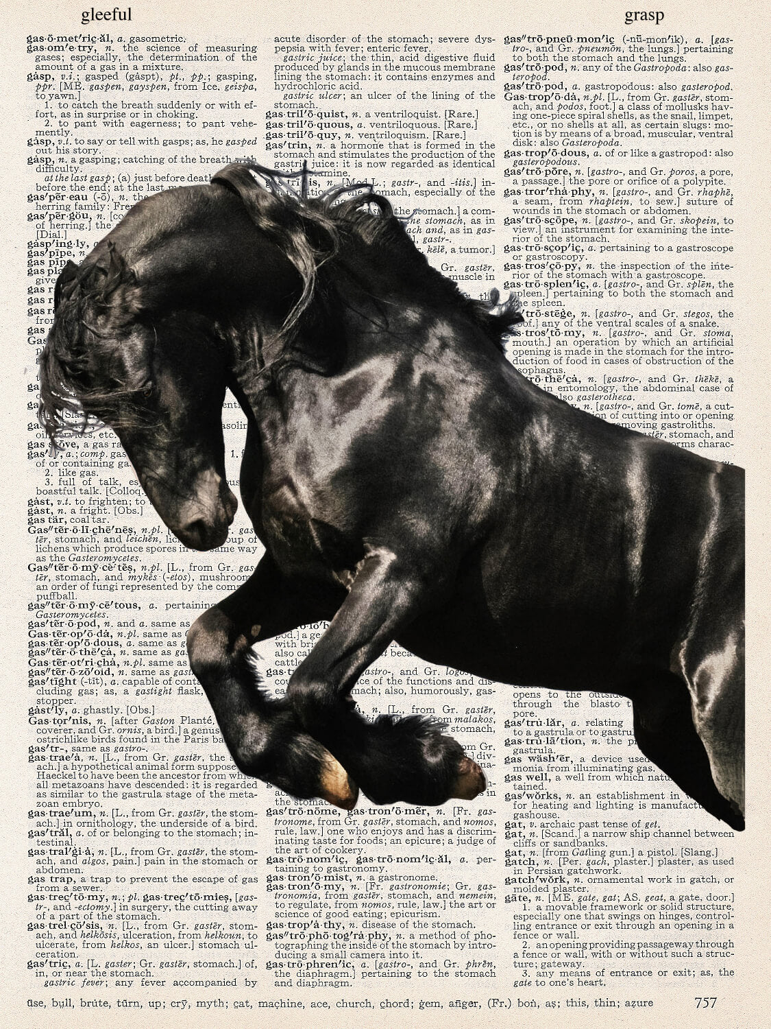 HORSE ARABIAN PRINT