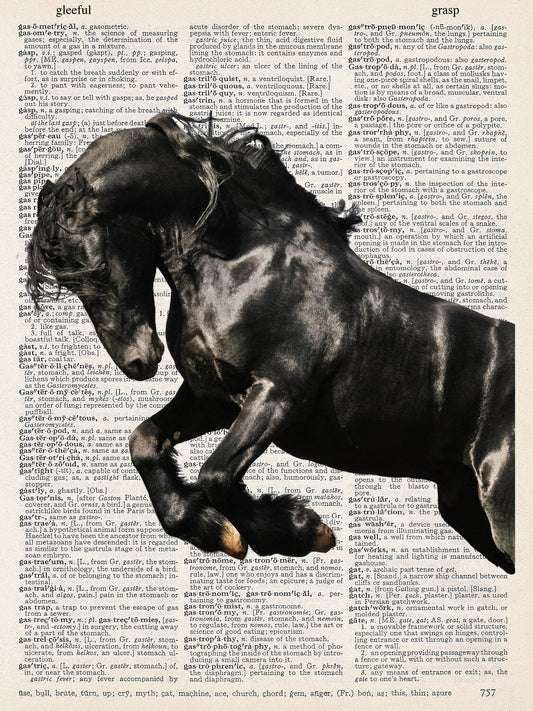 HORSE ARABIAN PRINT