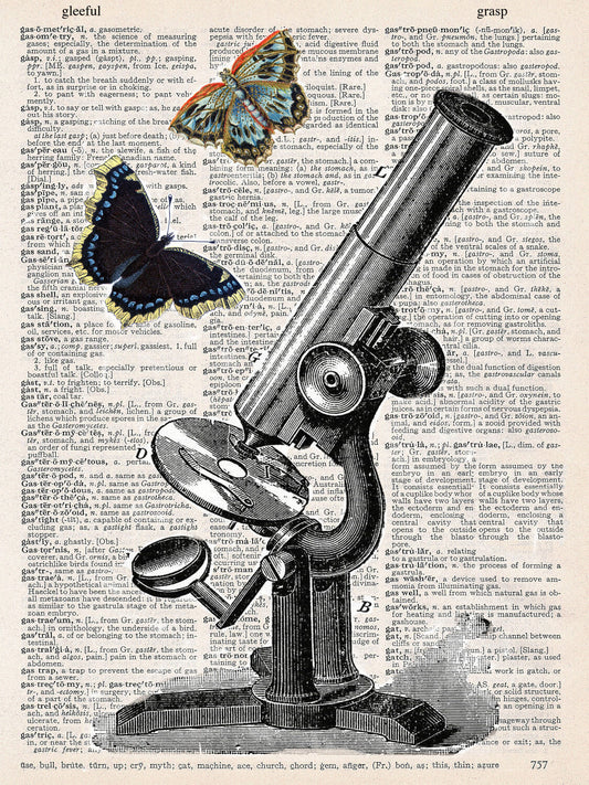 BUTTERFLY MICROSCOPE PRINT