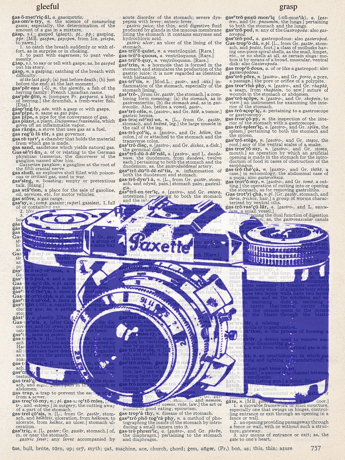 PAXETTE CAMERA PRINT