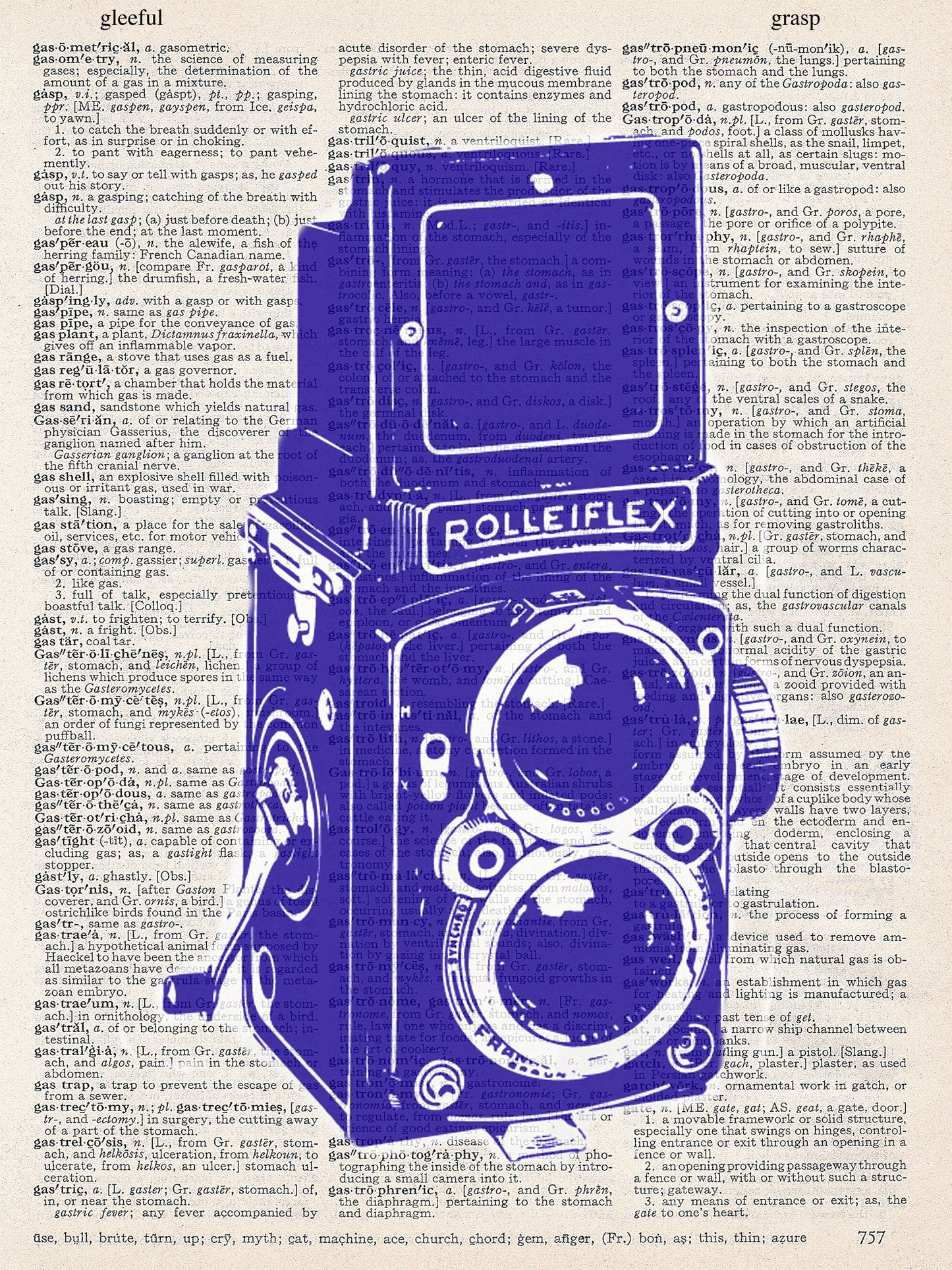 ROLLEIFLEX CAMERA PRINT