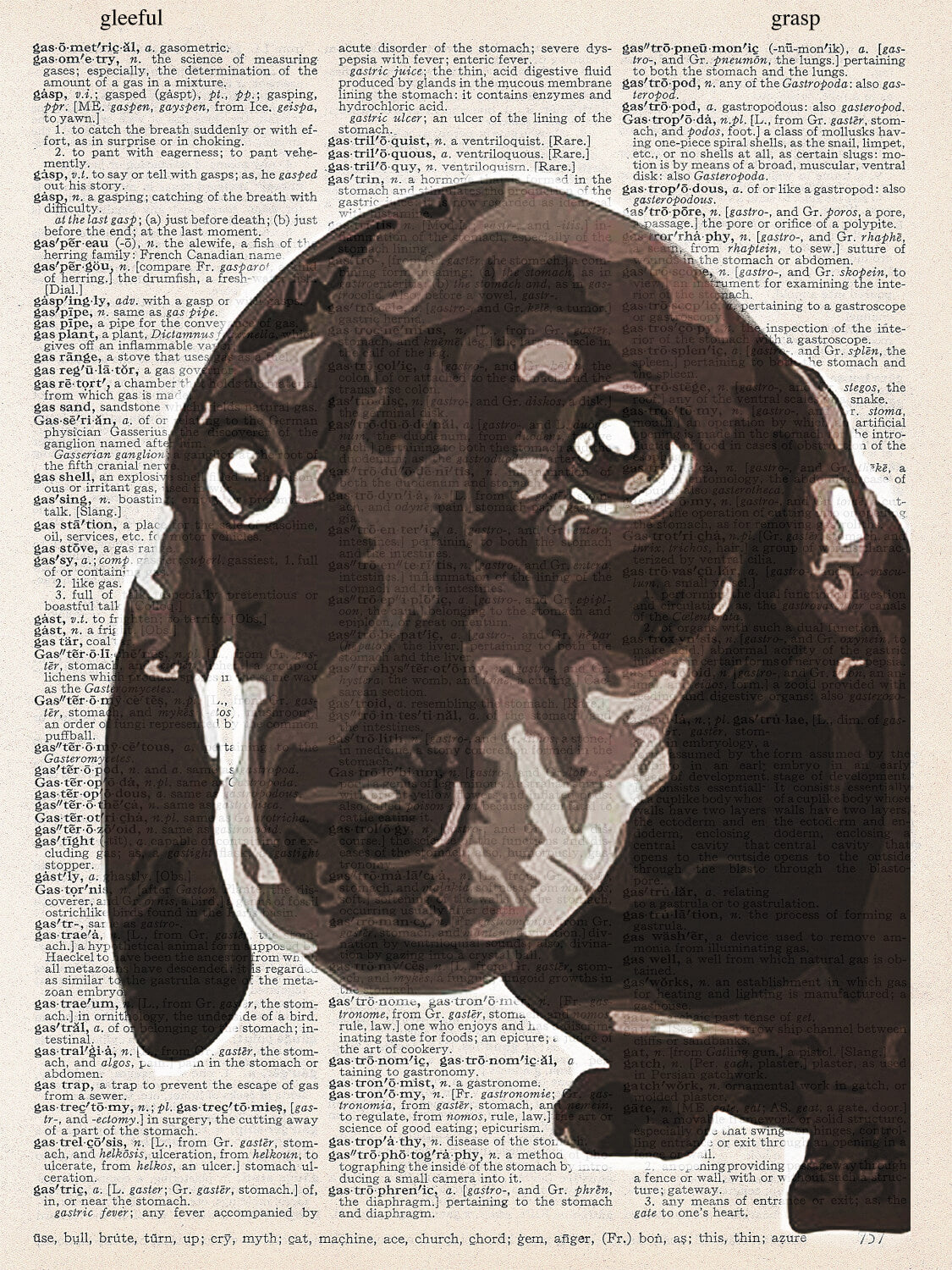 DACHSHUND FACE PRINT