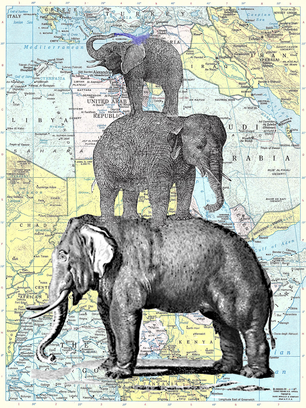 STACKADERMS ATLAS PRINT