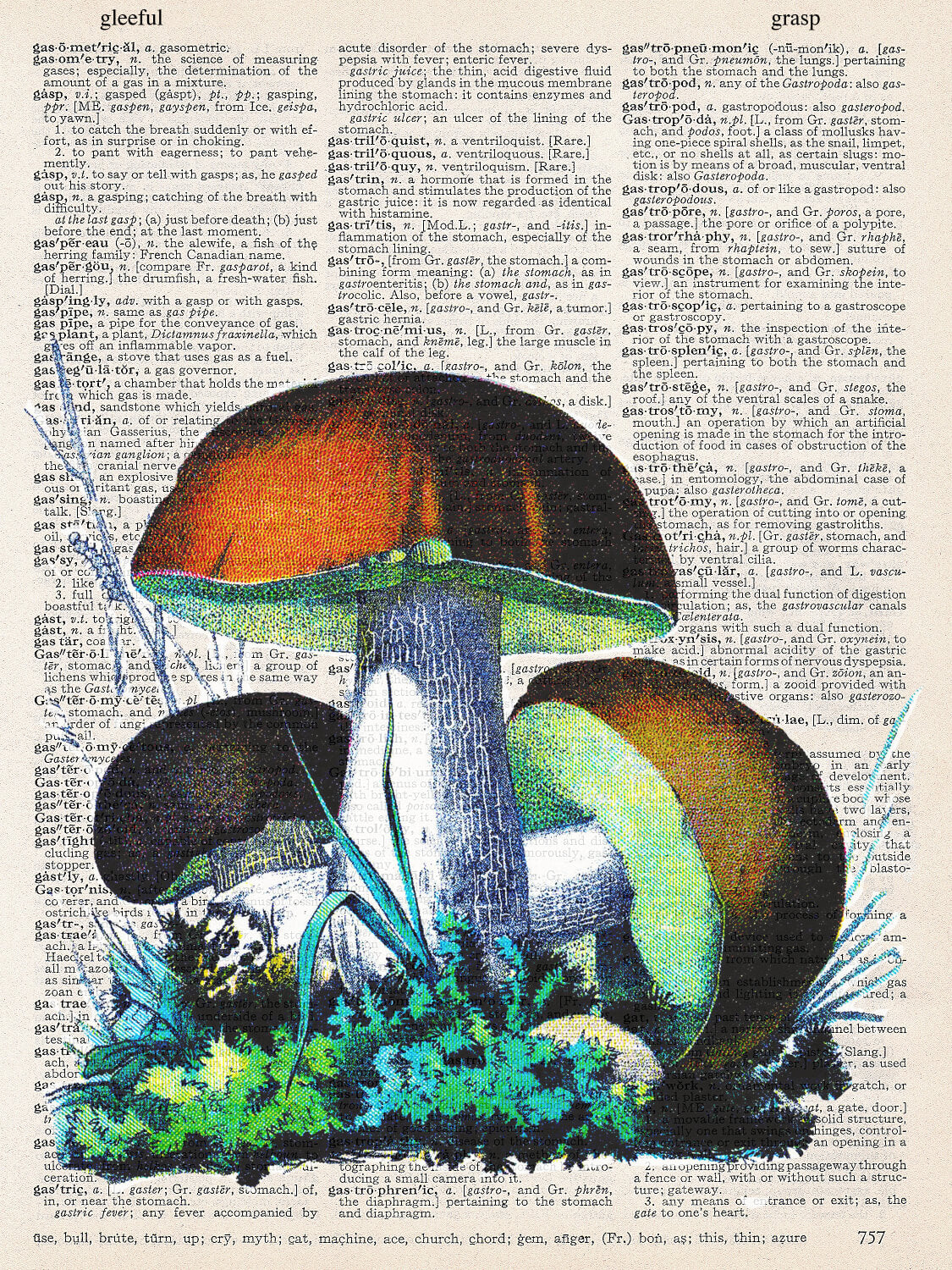 BROWN MUSHROOMS PRINT