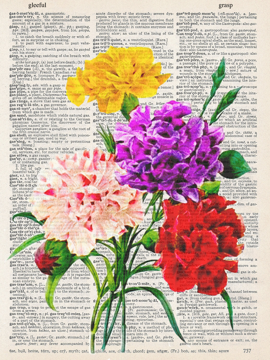 CARNATIONS PRINT