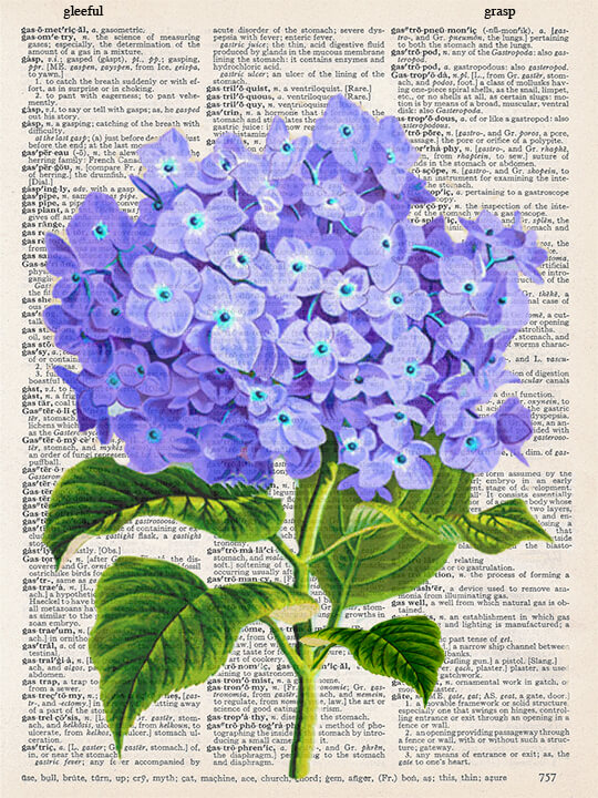 HYDRANGEA PRINT