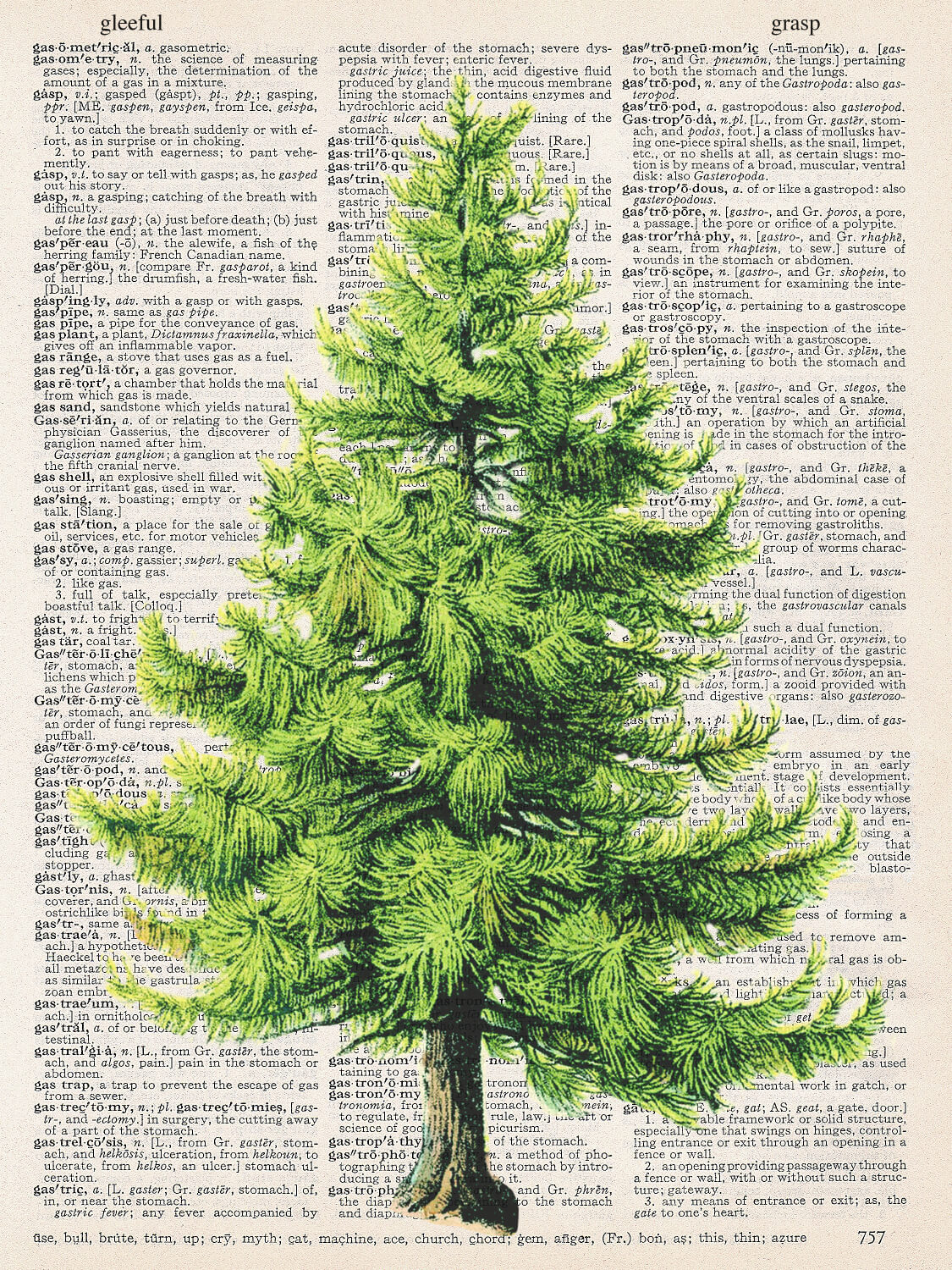 PINE TREE PRINT