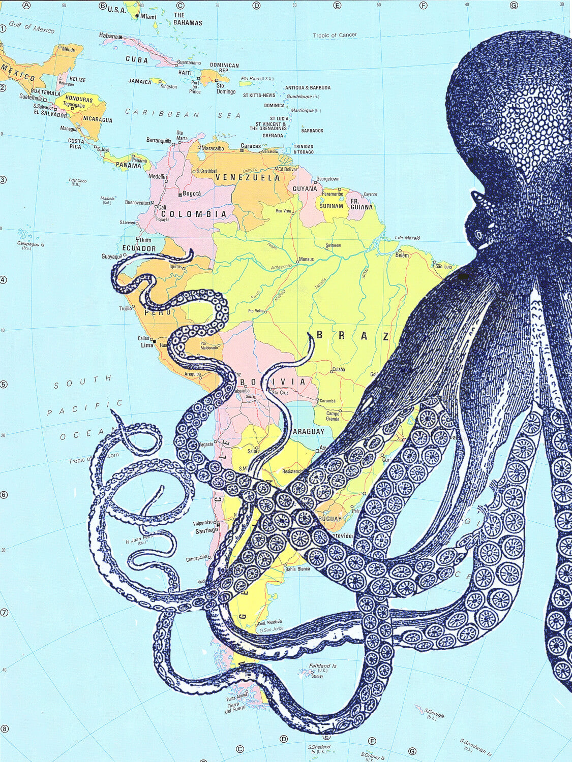 1/2 KRAKEN ATLAS PRINT