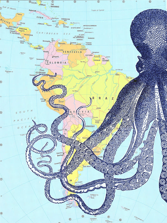 1/2 KRAKEN ATLAS PRINT