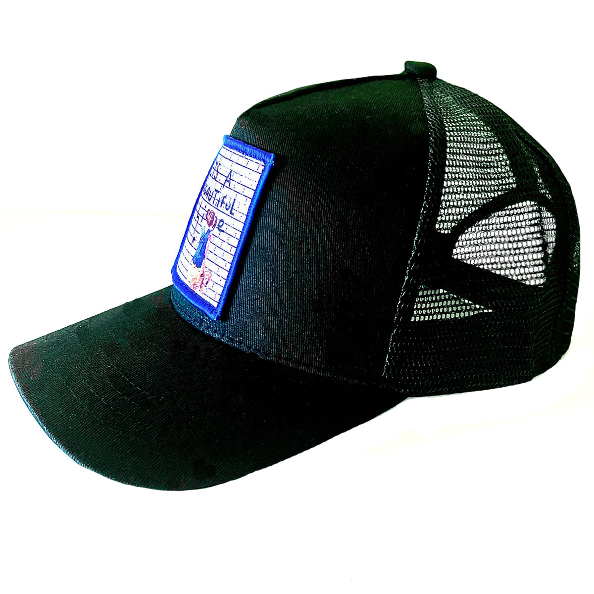IT'S A BEAUTIFUL LIE HAT