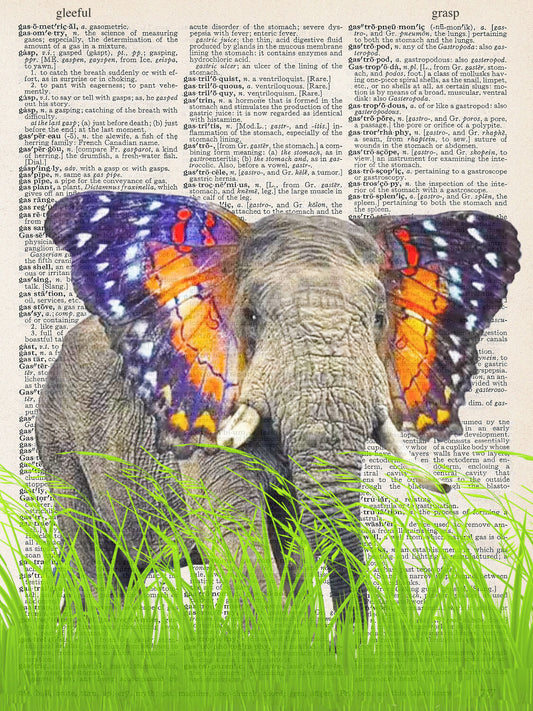 ELEPHFLY PRINT