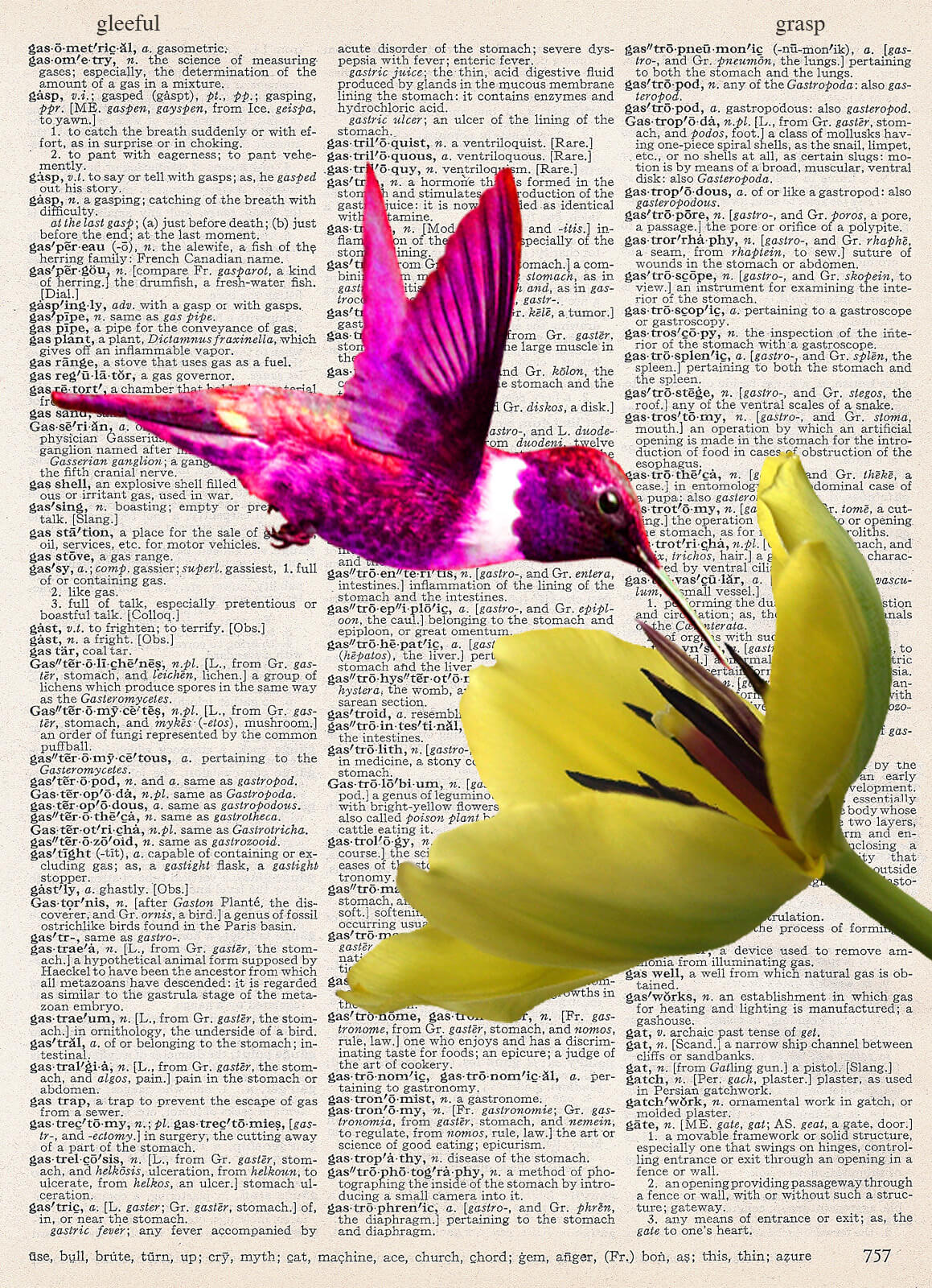 HUMMING BIRD PRINT