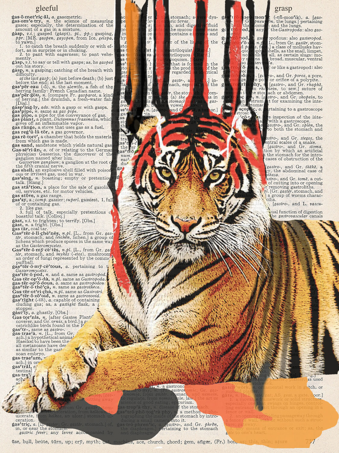 STRIPPED TIGER PRINT