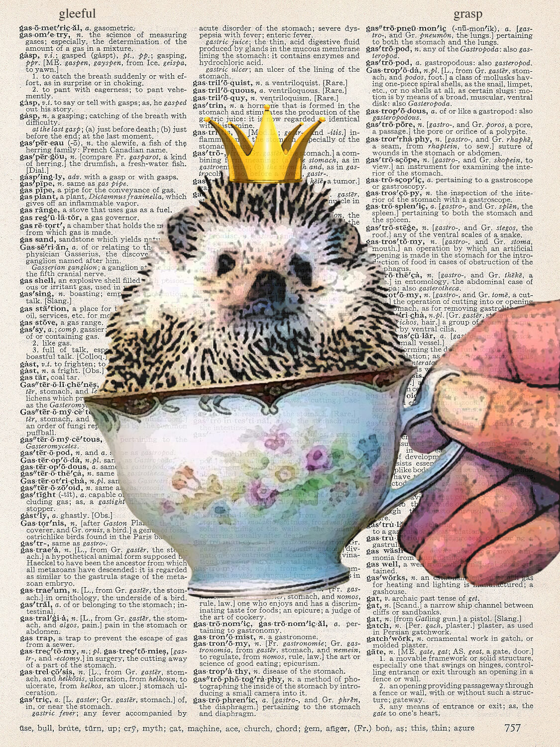 HEDGEHOG PRINT