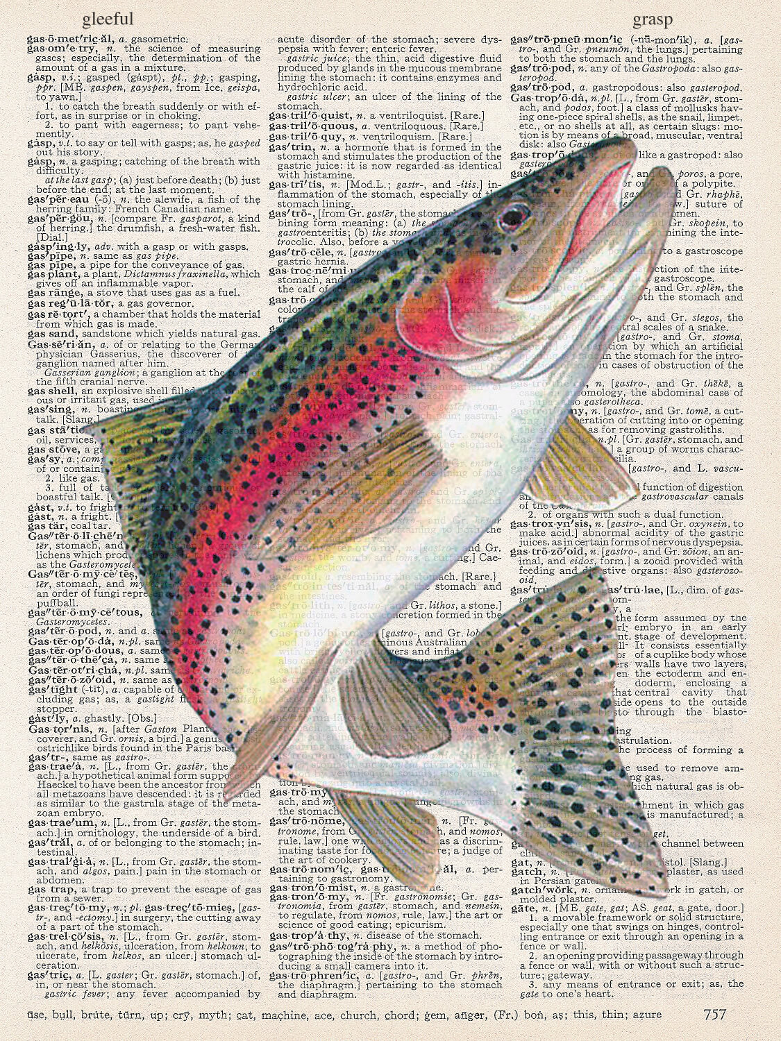 RAINBOW TROUT PRINT