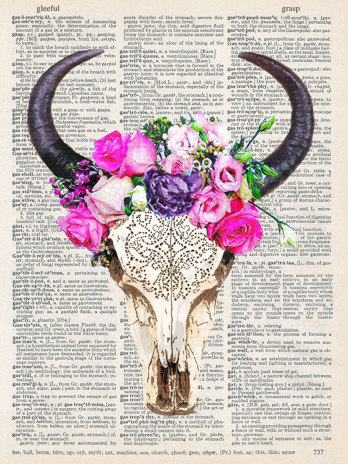 BIG HORN SKULL PRINT
