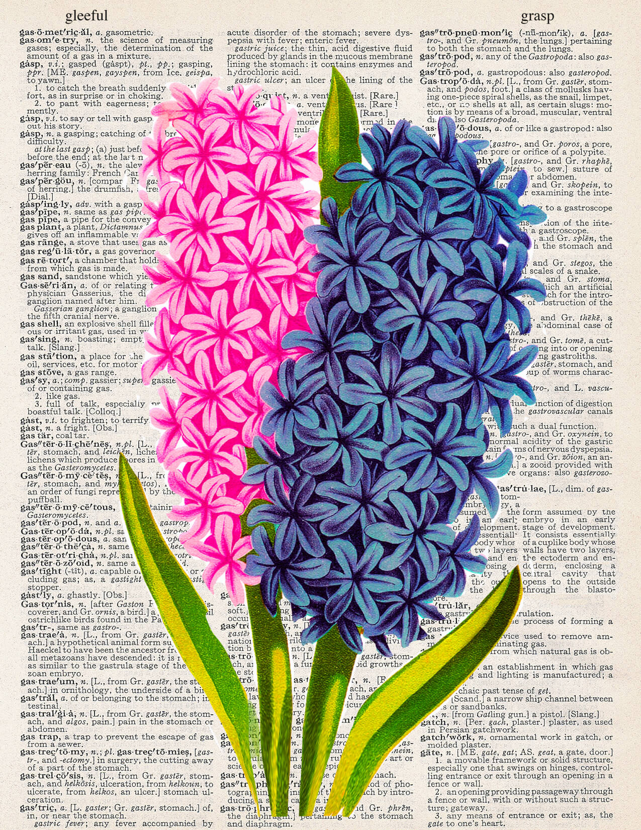 HYACINTH PRINT