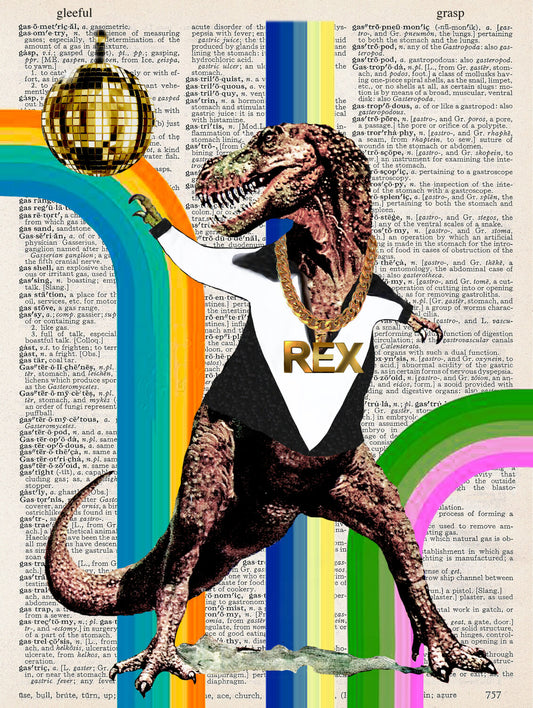 DISCO REX PRINT