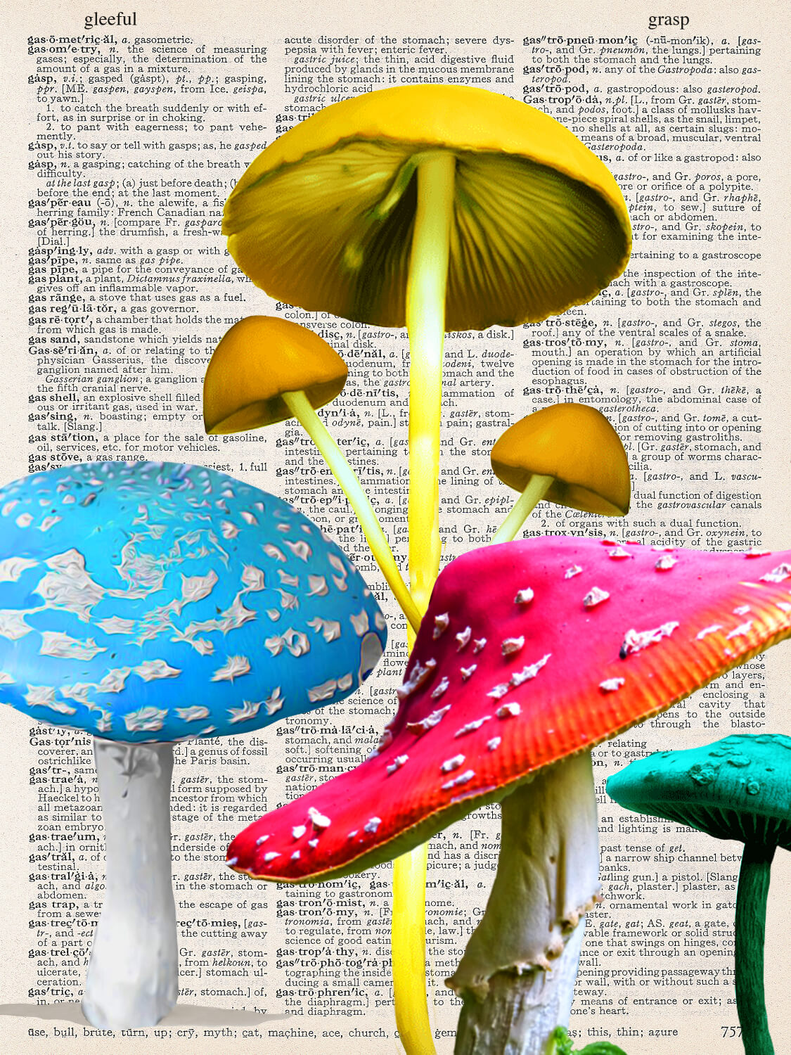 FESTIVE FUNGHI PRINT
