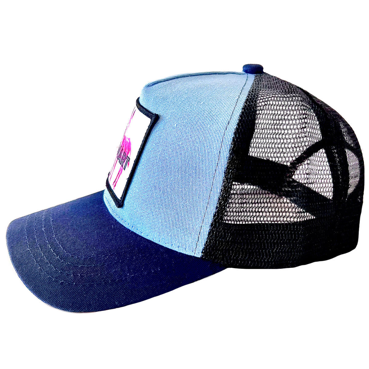 SMART ASS HAT