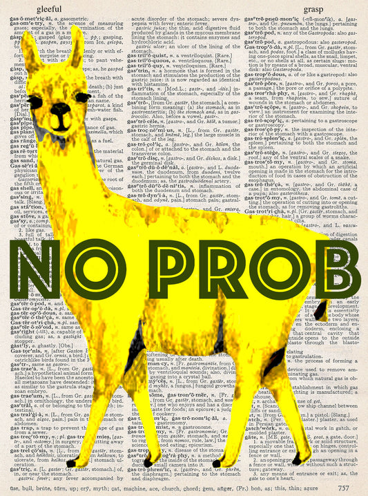 NO PROBLLAMA PRINT