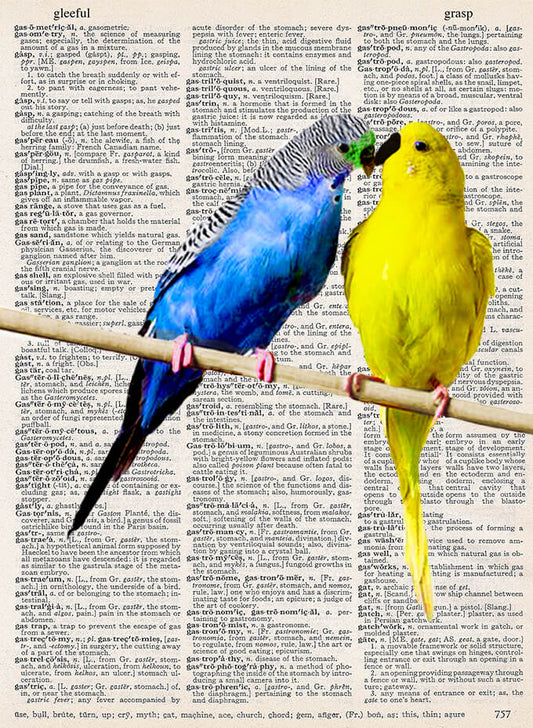 A PAIR OF KEETS PRINT