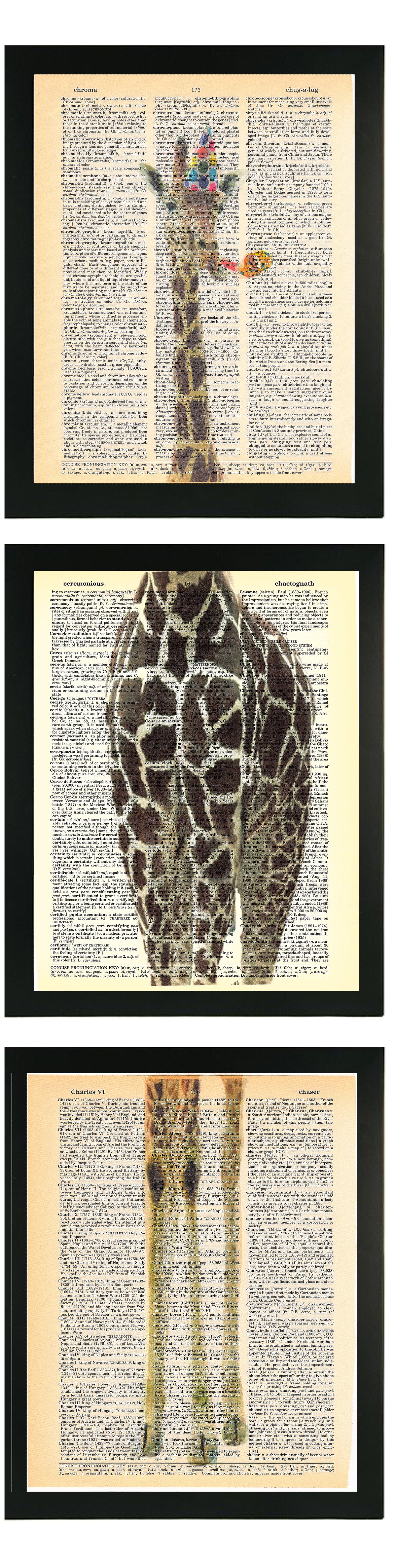 PARTY ANIMAL 3 PC LINKED WALL ART