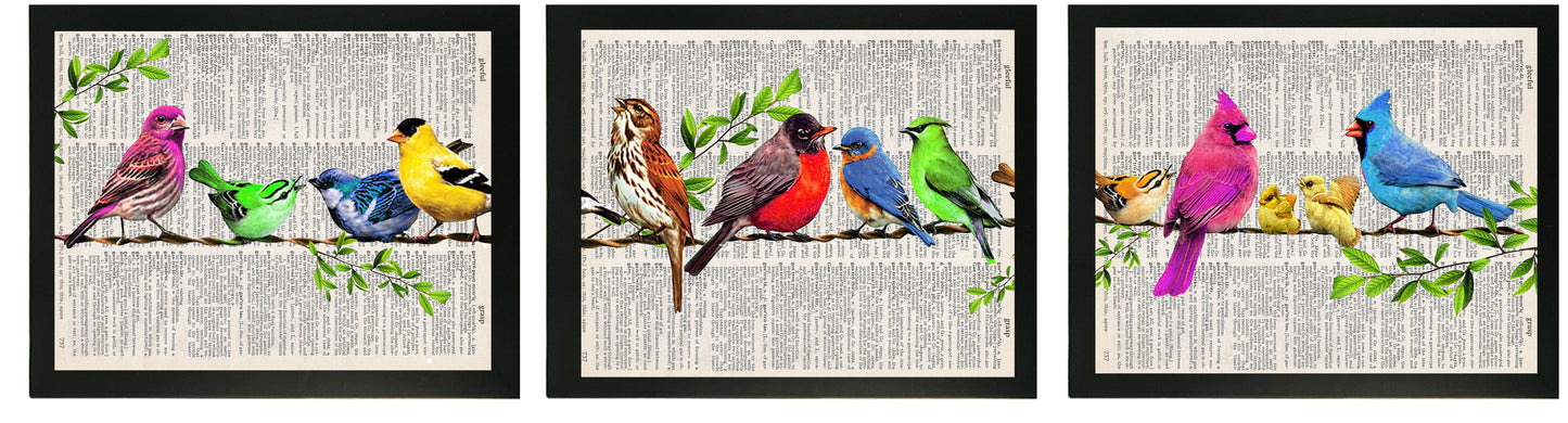 PRETTY BIRDS 3 PC LINKED WALL ART