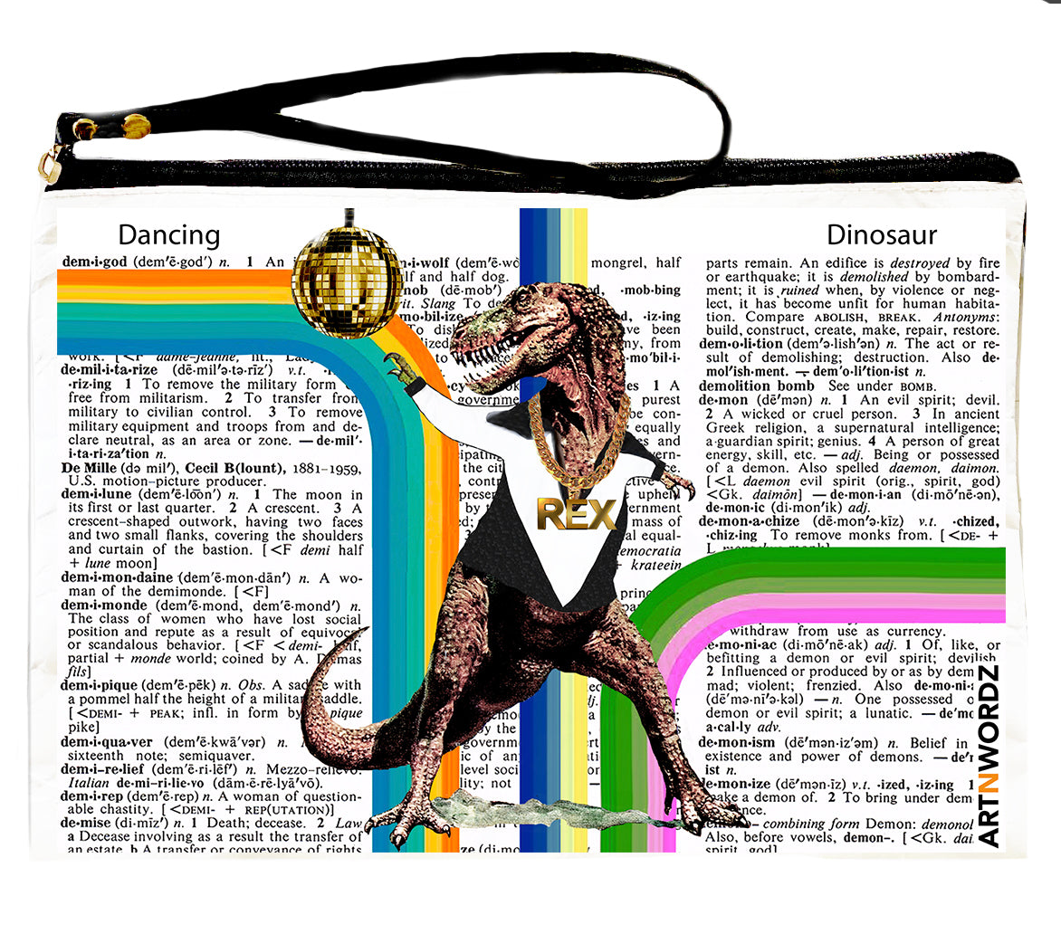 DISCO REX POUCH