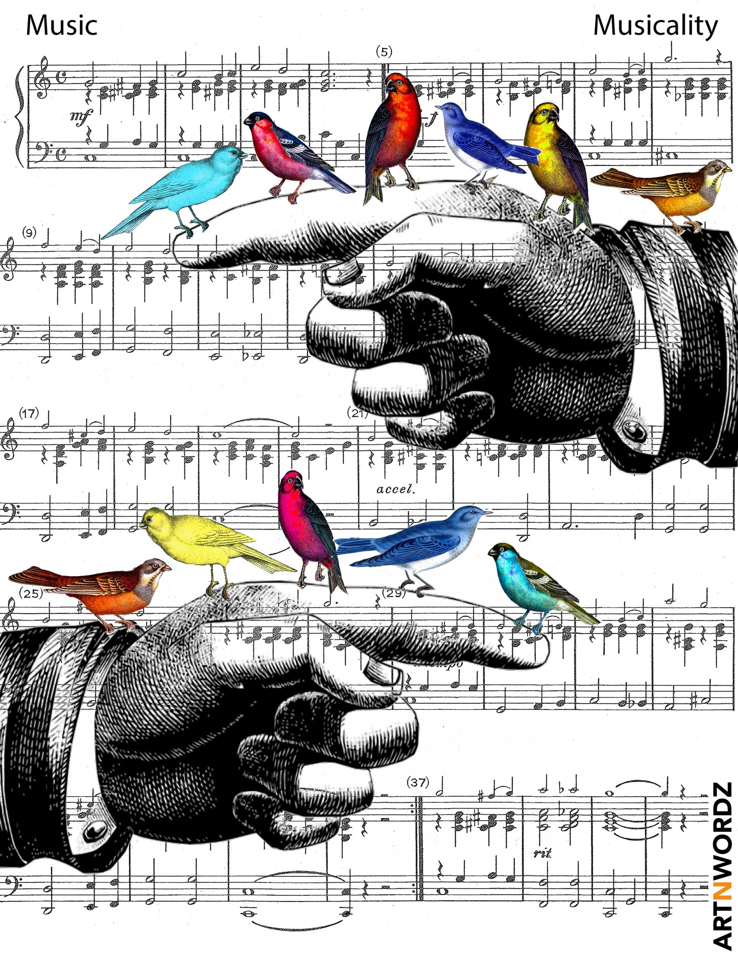 FINGER BIRDS MUSIC STICKER