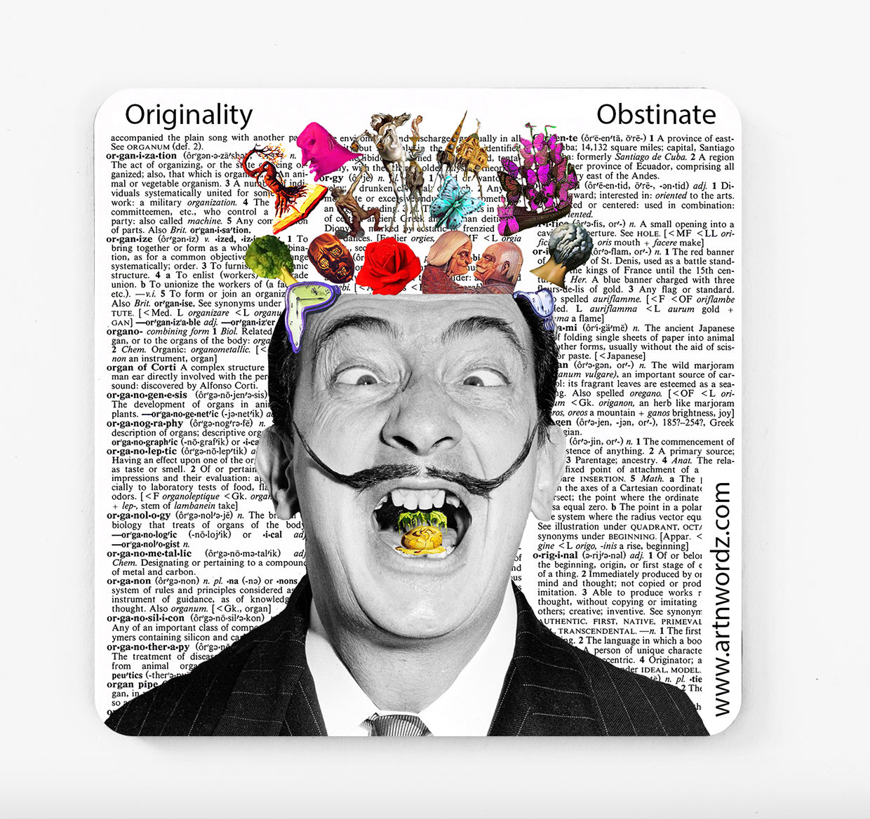 HELLO DALI COASTERS