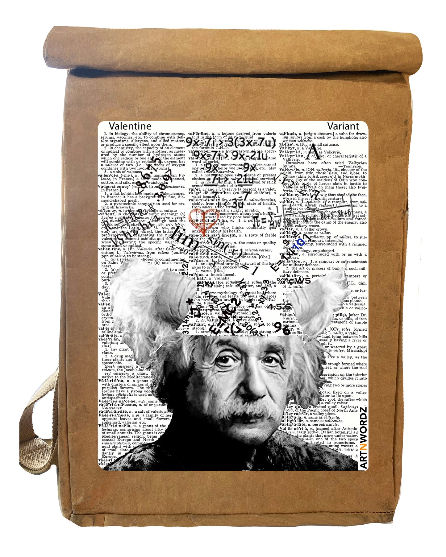 MATHEMATICIAN BAGPACK