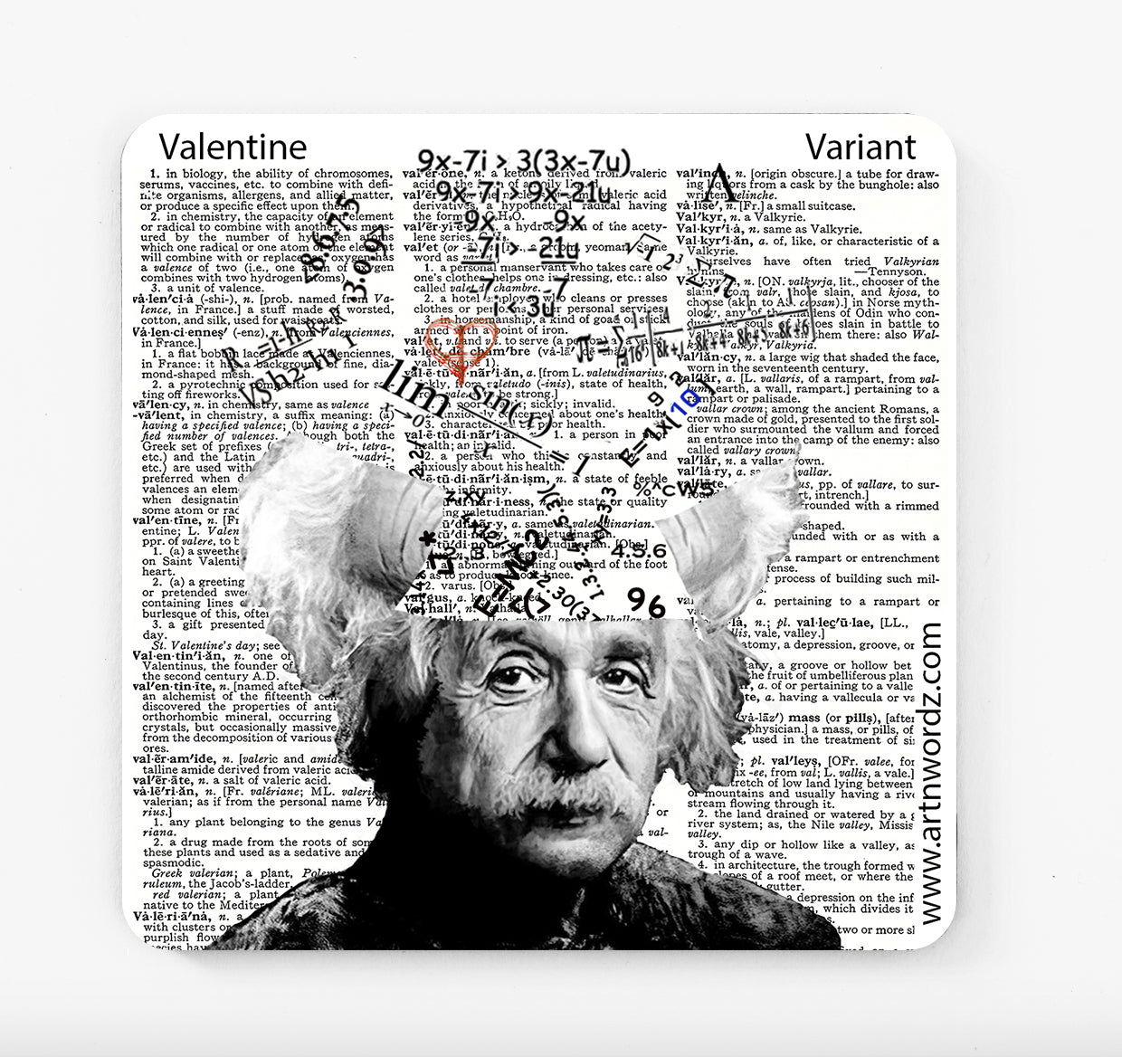 MATHEMATICIAN COASTERS
