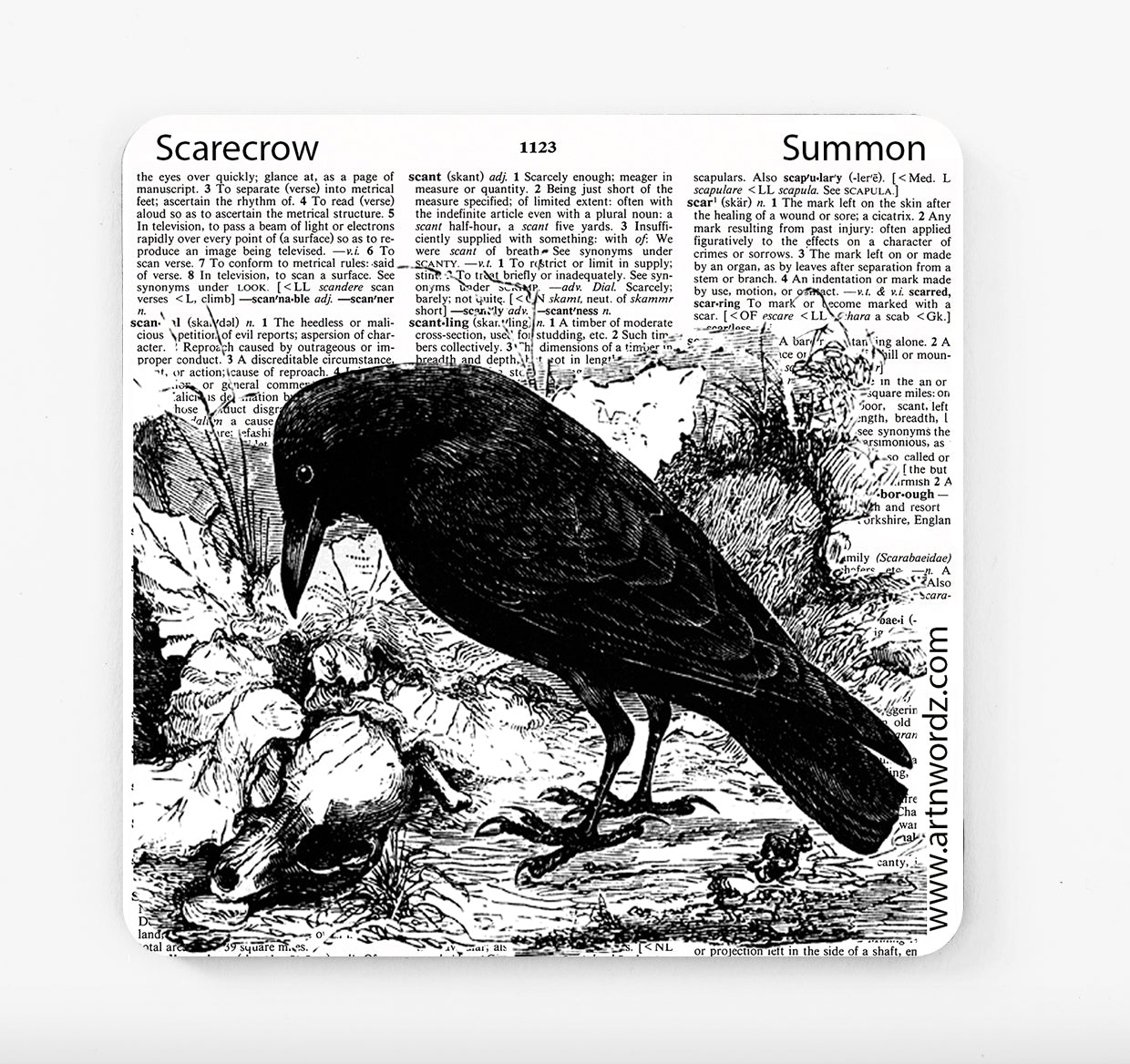 RAVEN COASTERS