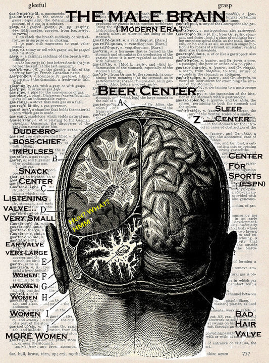 MALE BRAIN PRINT