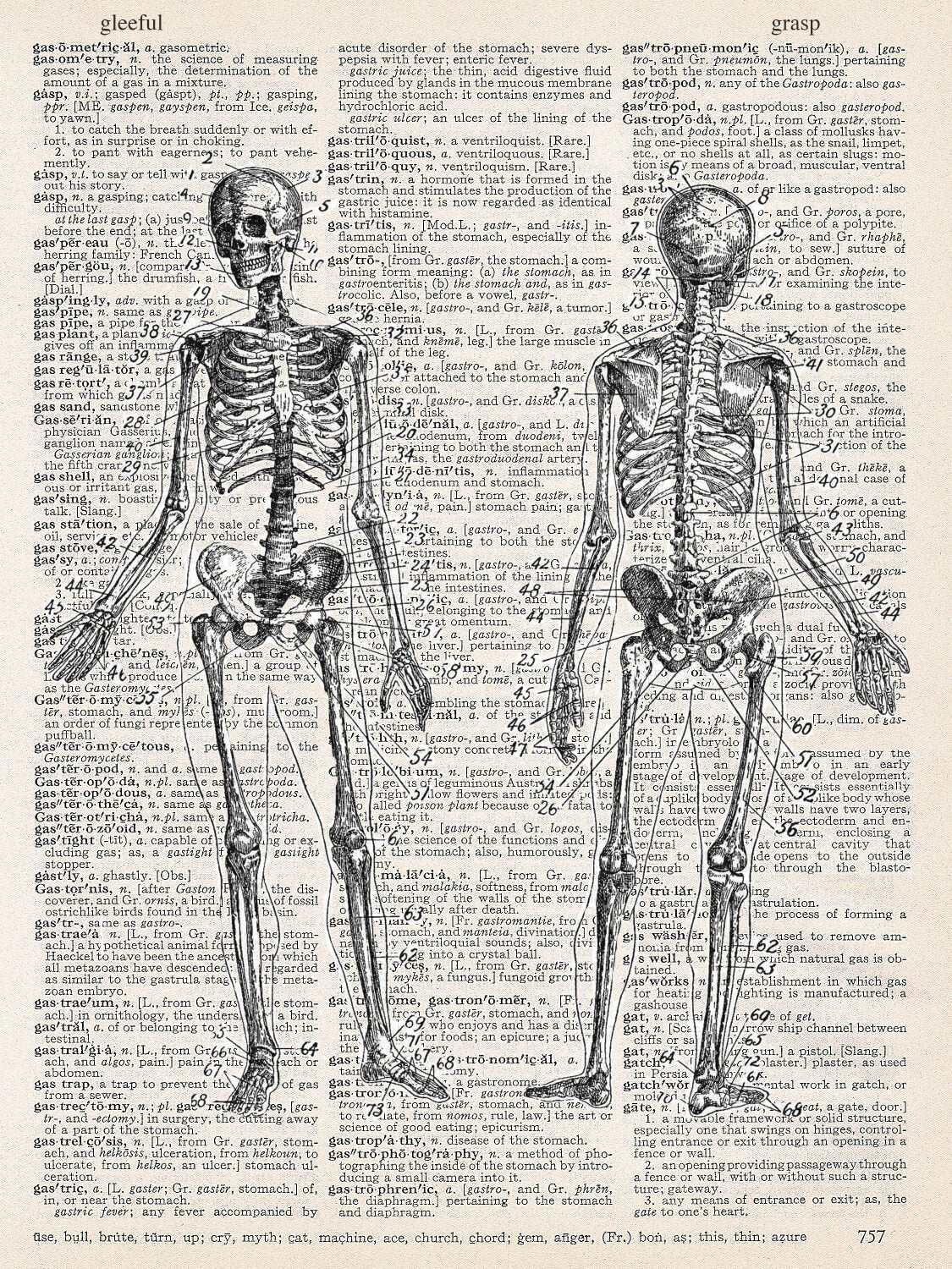 Skeleton Imageprint SKELETAL BODY PRINT – ARTNWORDZ
