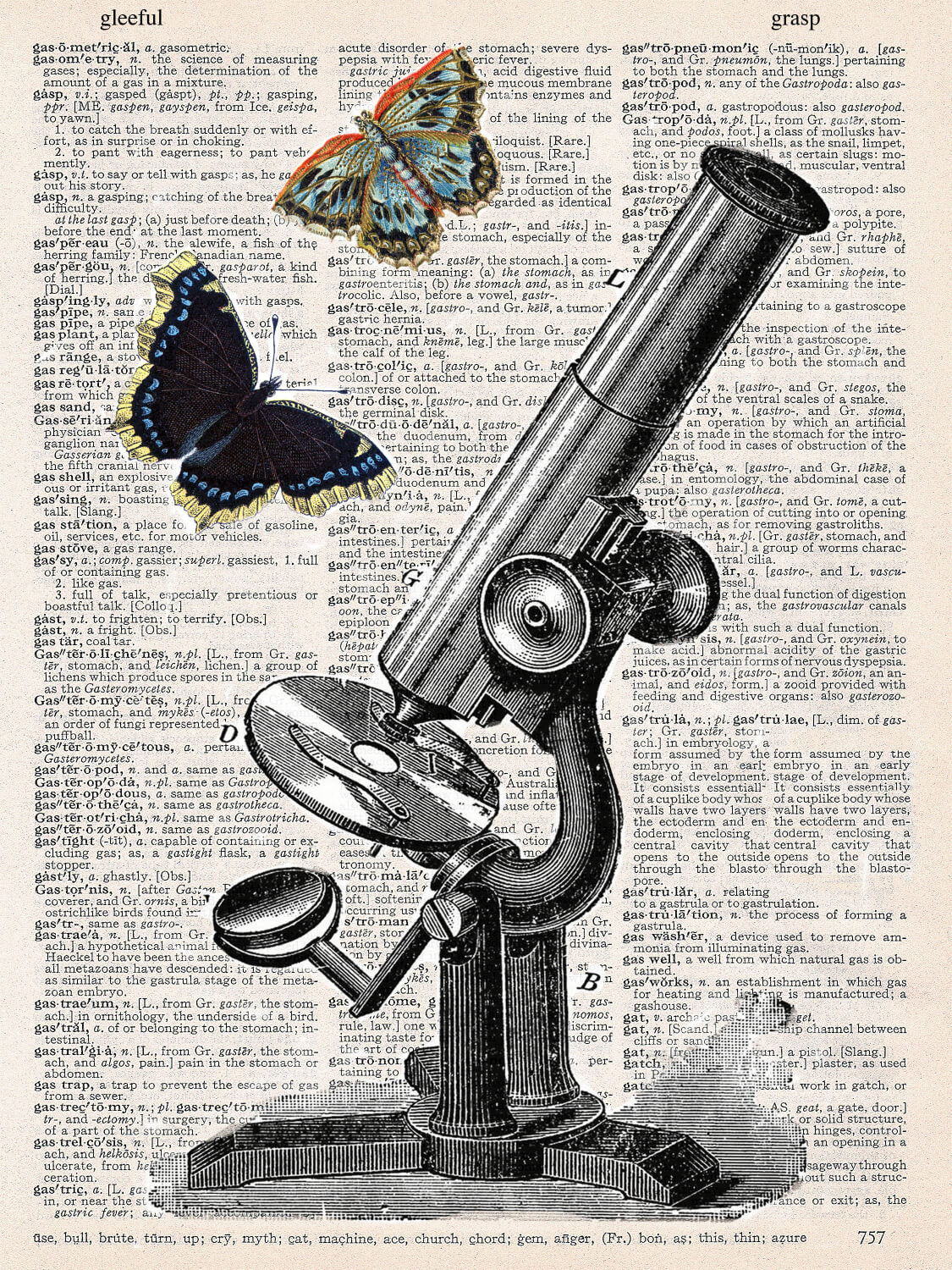BUTTERFLY MICROSCOPE PRINT – ARTNWORDZ
