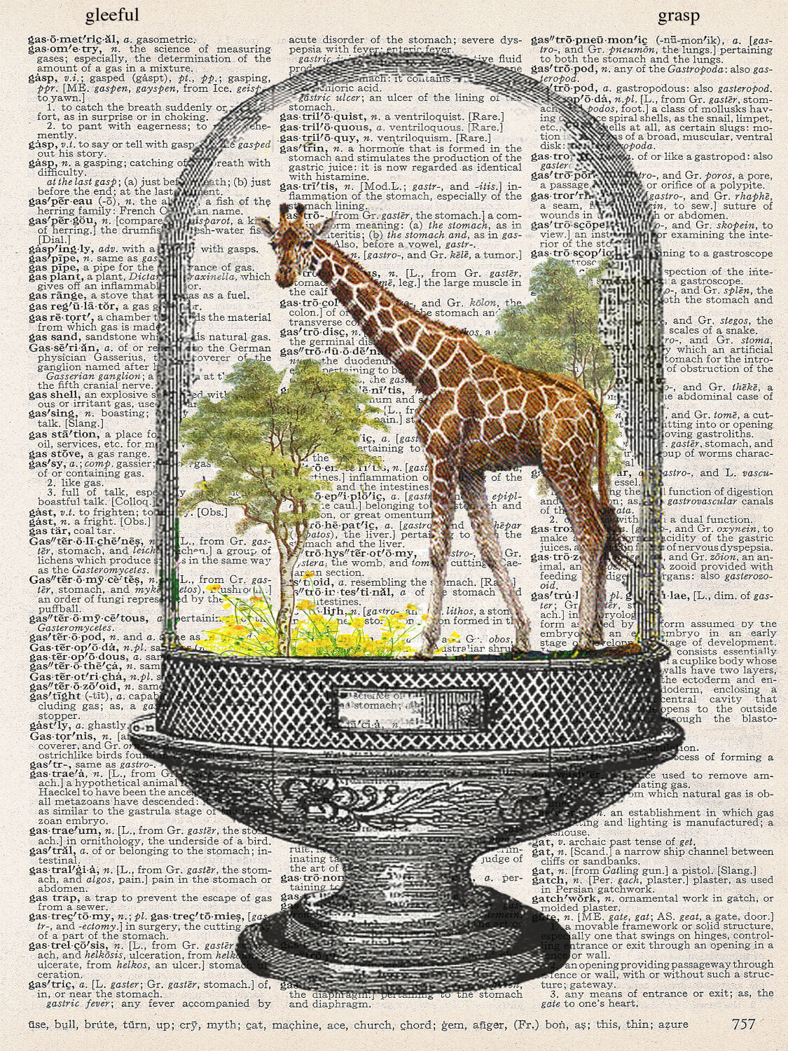 GIRAFFE UNDER GLASS PRINT