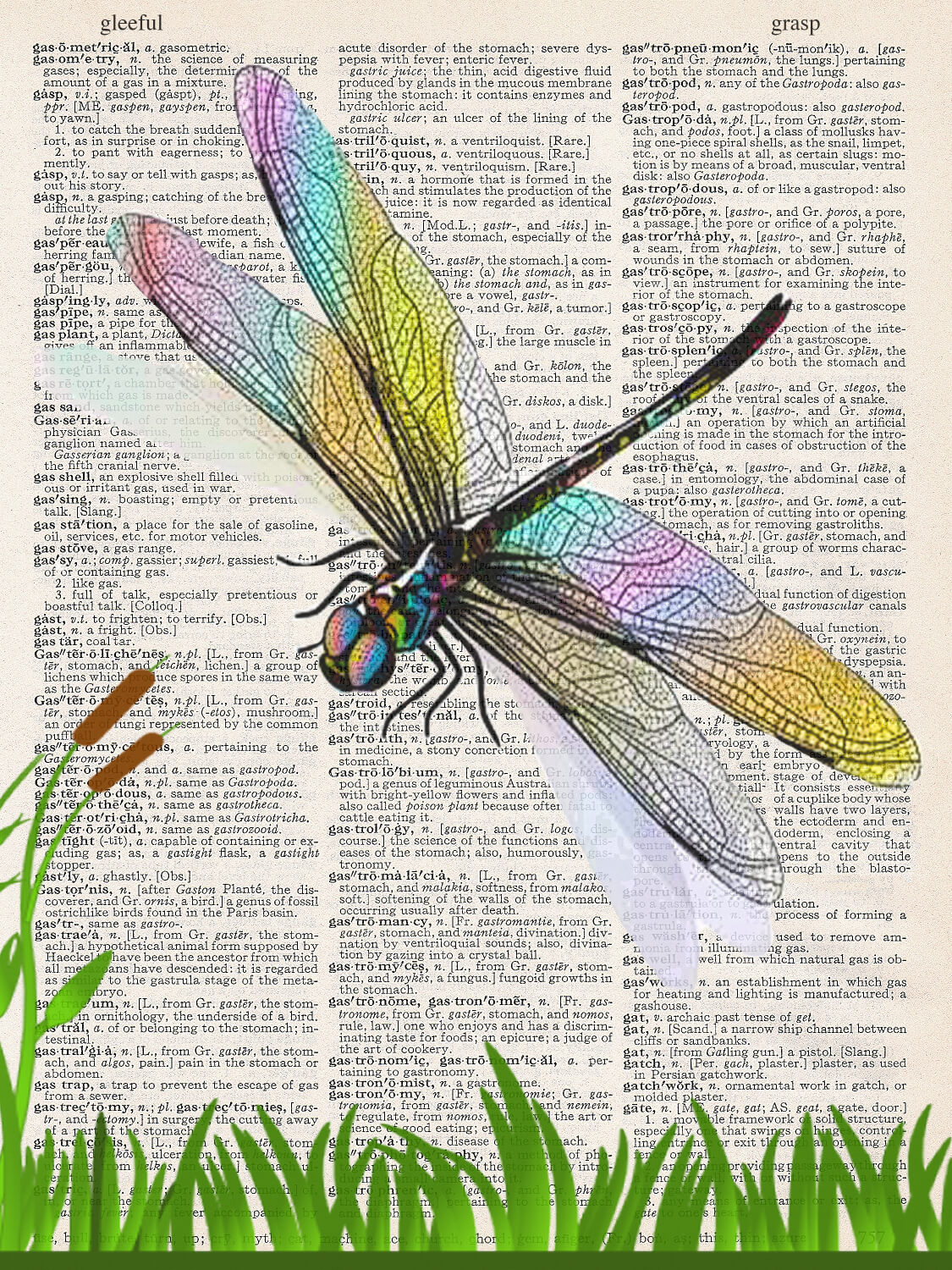 DRAGON FLY PRINT – ARTNWORDZ