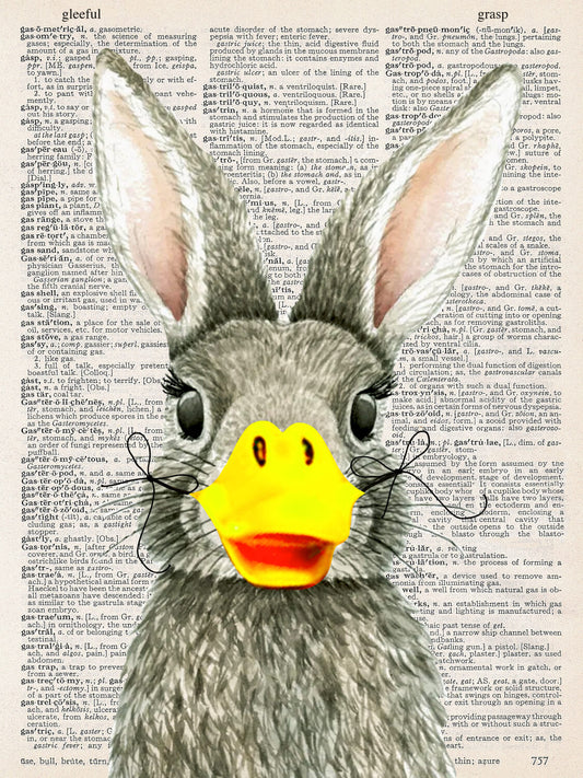 RABBIT QUACK PRINT