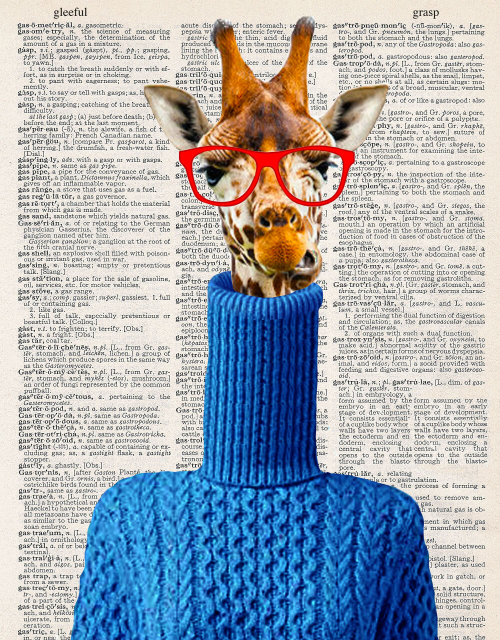 HIPSTER GIRAFFE PRINT