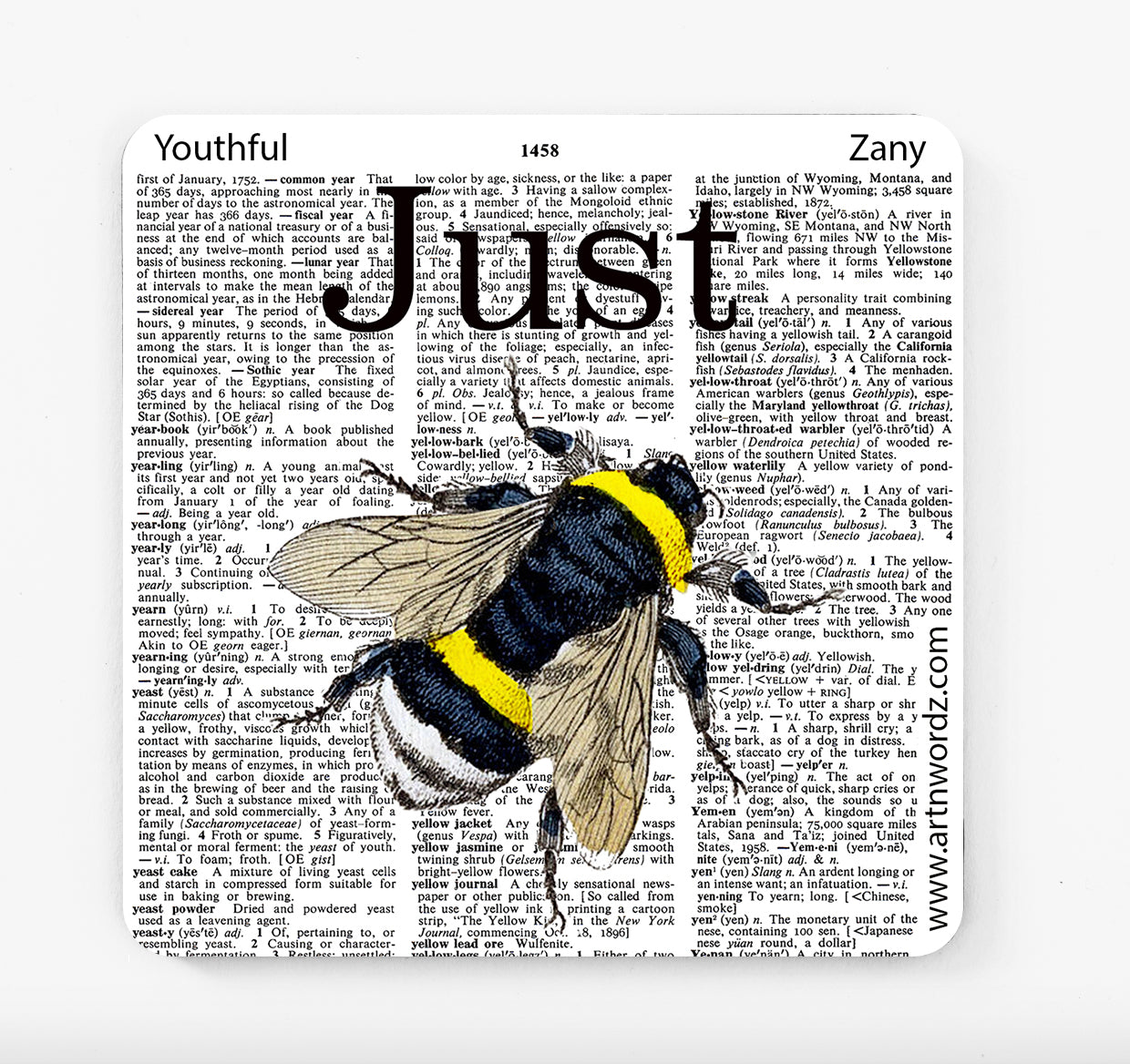 JUST BEE COASTERS